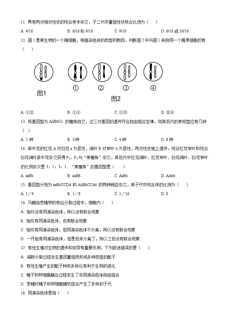 北京市第一六六中学2023-2024学年高一下学期3月月考生物试题（Word版附解析）03