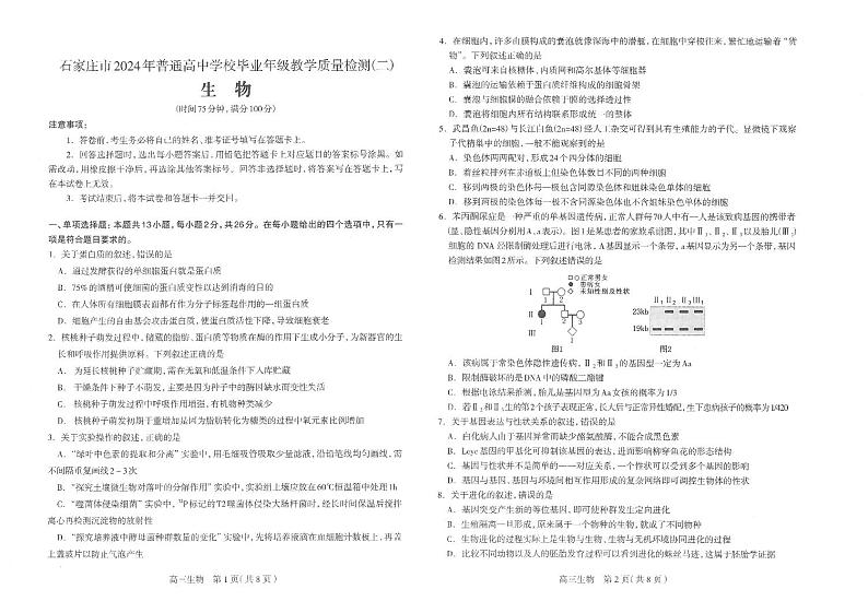 河北省石家庄市普通高中2024届高三下学期二模生物试卷（PDF版附答案）01