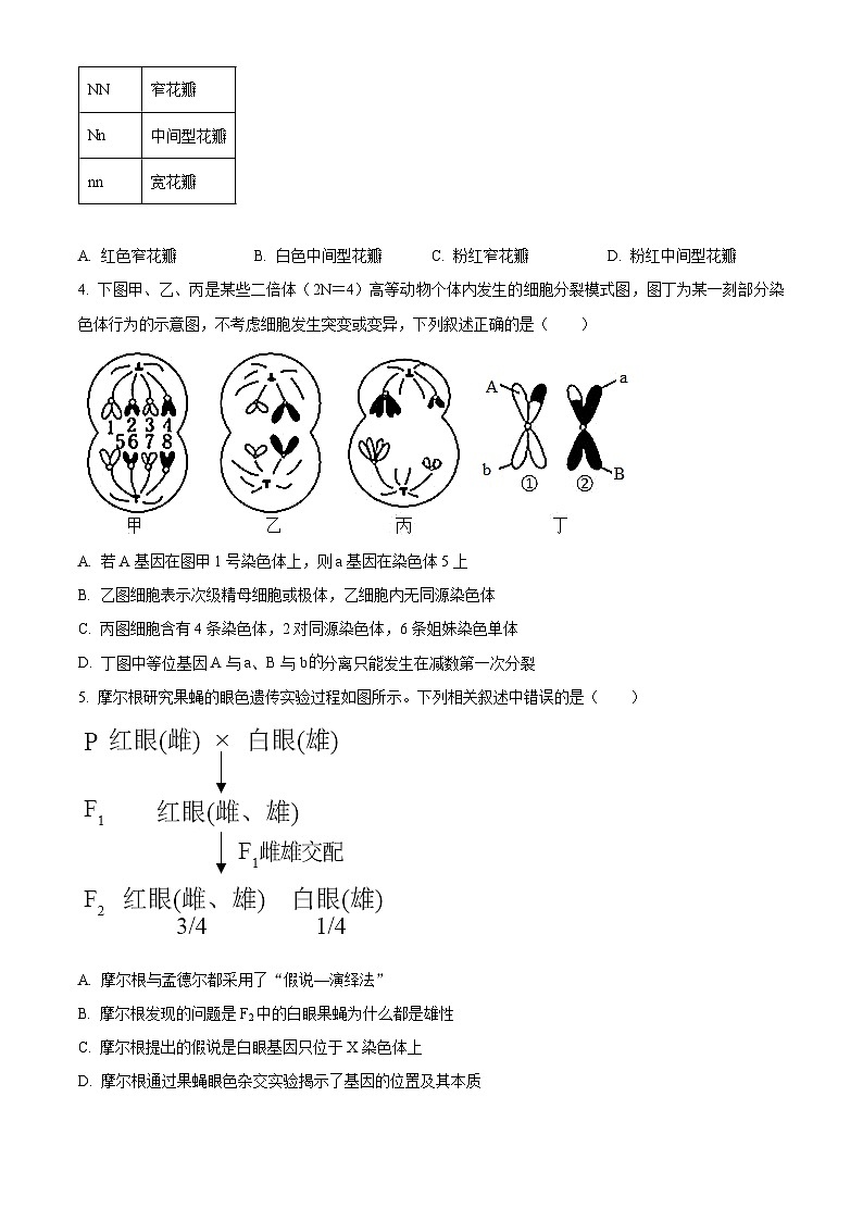 安徽省芜湖市第一中学2022-2023学年高一下学期5月月考生物试卷（Word版附解析）02
