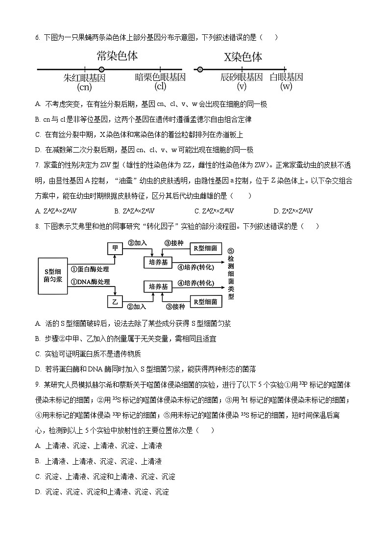 安徽省芜湖市第一中学2022-2023学年高一下学期5月月考生物试卷（Word版附解析）03