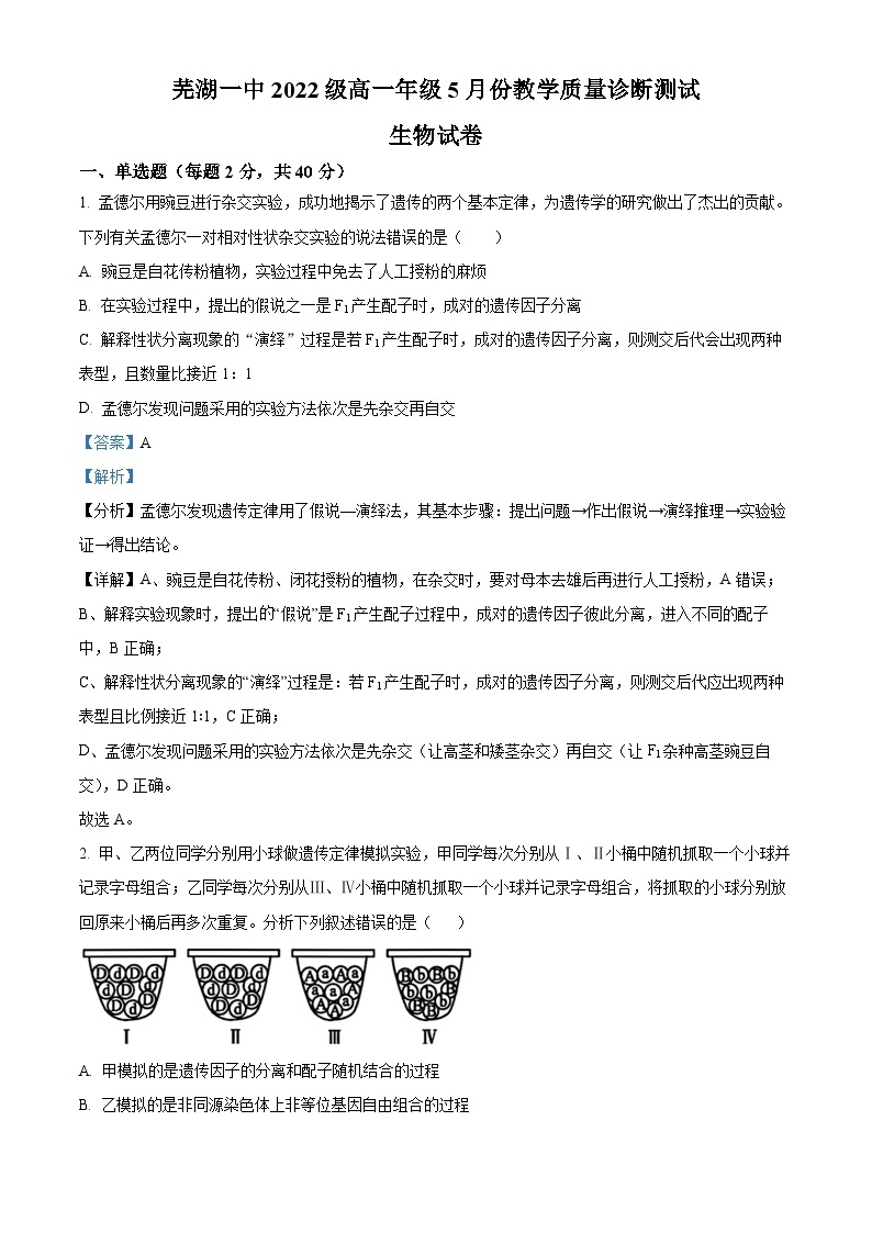 安徽省芜湖市第一中学2022-2023学年高一下学期5月月考生物试卷（Word版附解析）01