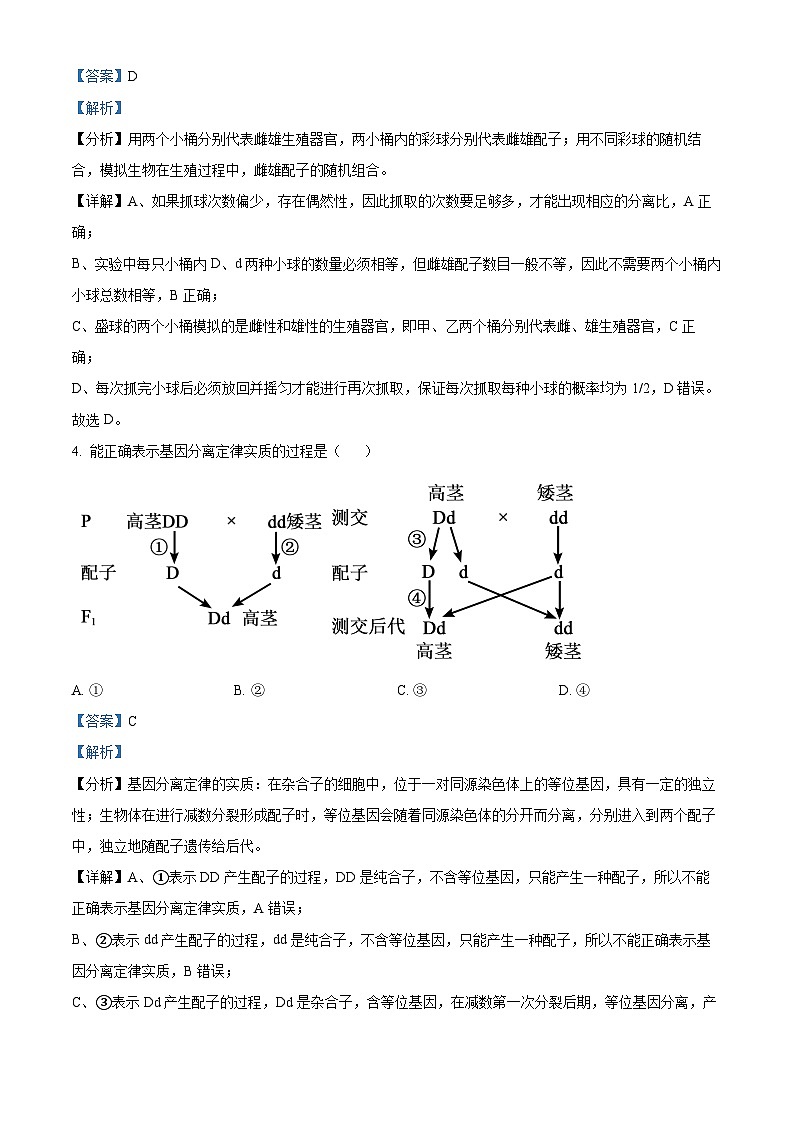 湖南省岳阳市岳阳县第一中学2023-2024学年高一下学期3月月考生物试卷（Word版附解析）02