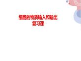 细胞的物质输入和输出 课件 高中生物人教版必修一