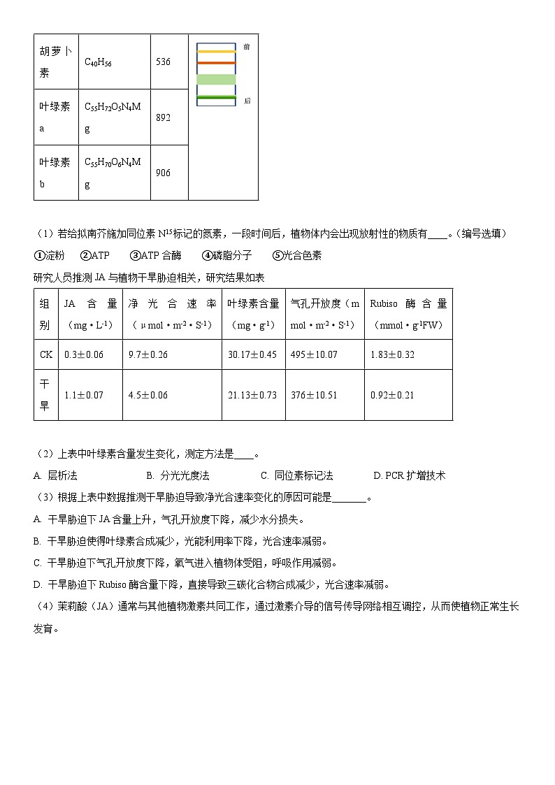2024年上海市奉贤区高三下学期高考&等级考二模生物试卷含详解02