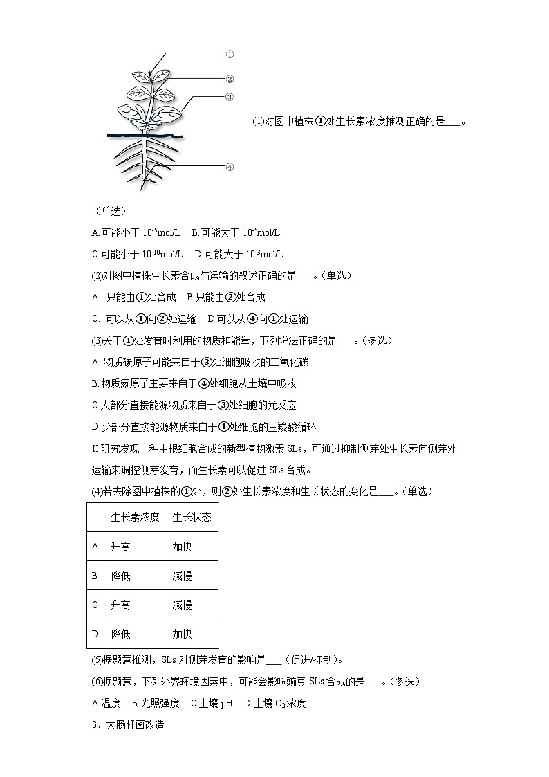 2024年上海市黄浦区高三下学期高考二模生物试卷含详解03
