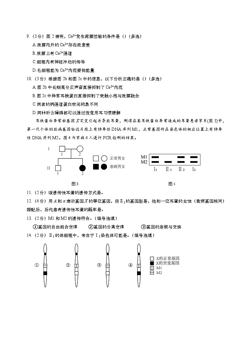 2024年上海市长宁区高三下学期高考&等级考二模生物试卷含答案03