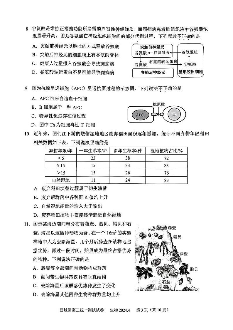 2024北京西城高三一模生物试题及答案第3页
