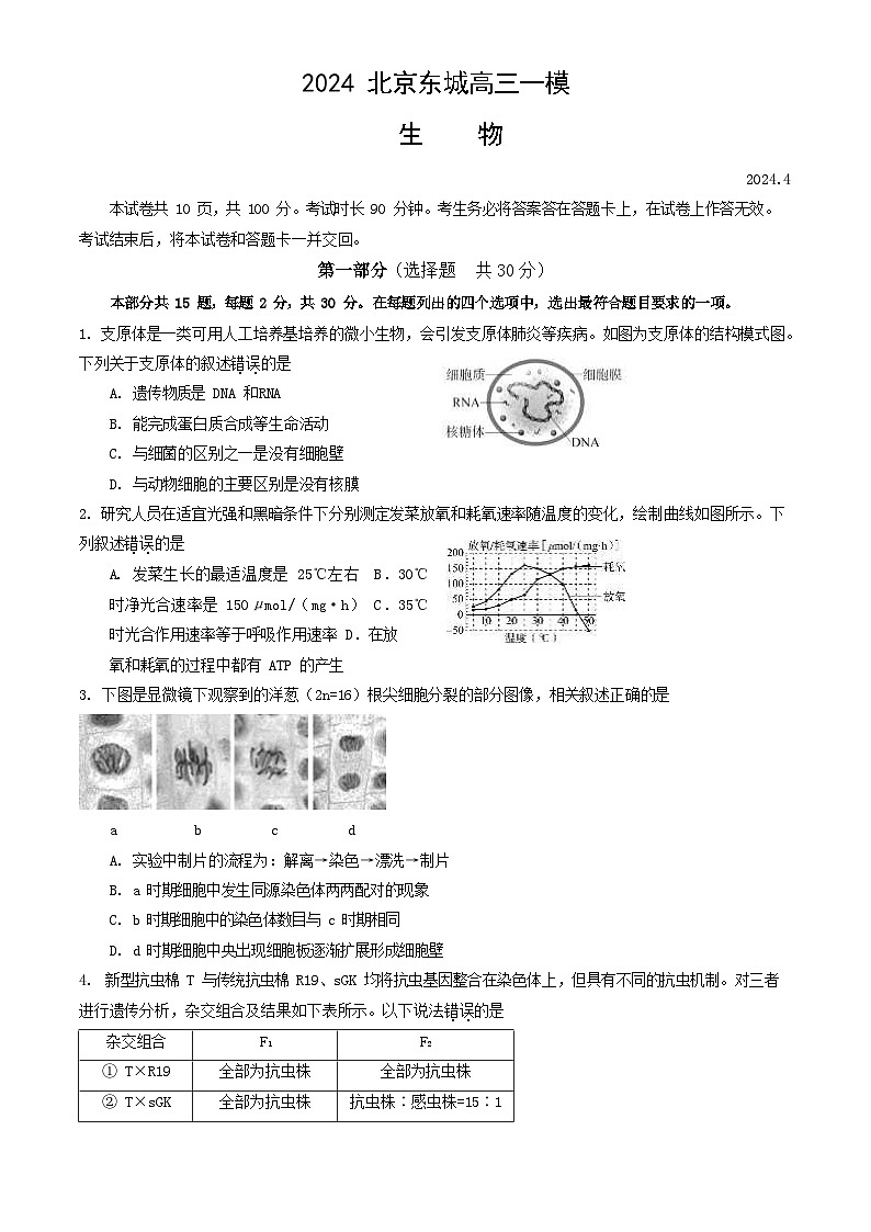 2024北京东城高三一模生物试题及答案第1页