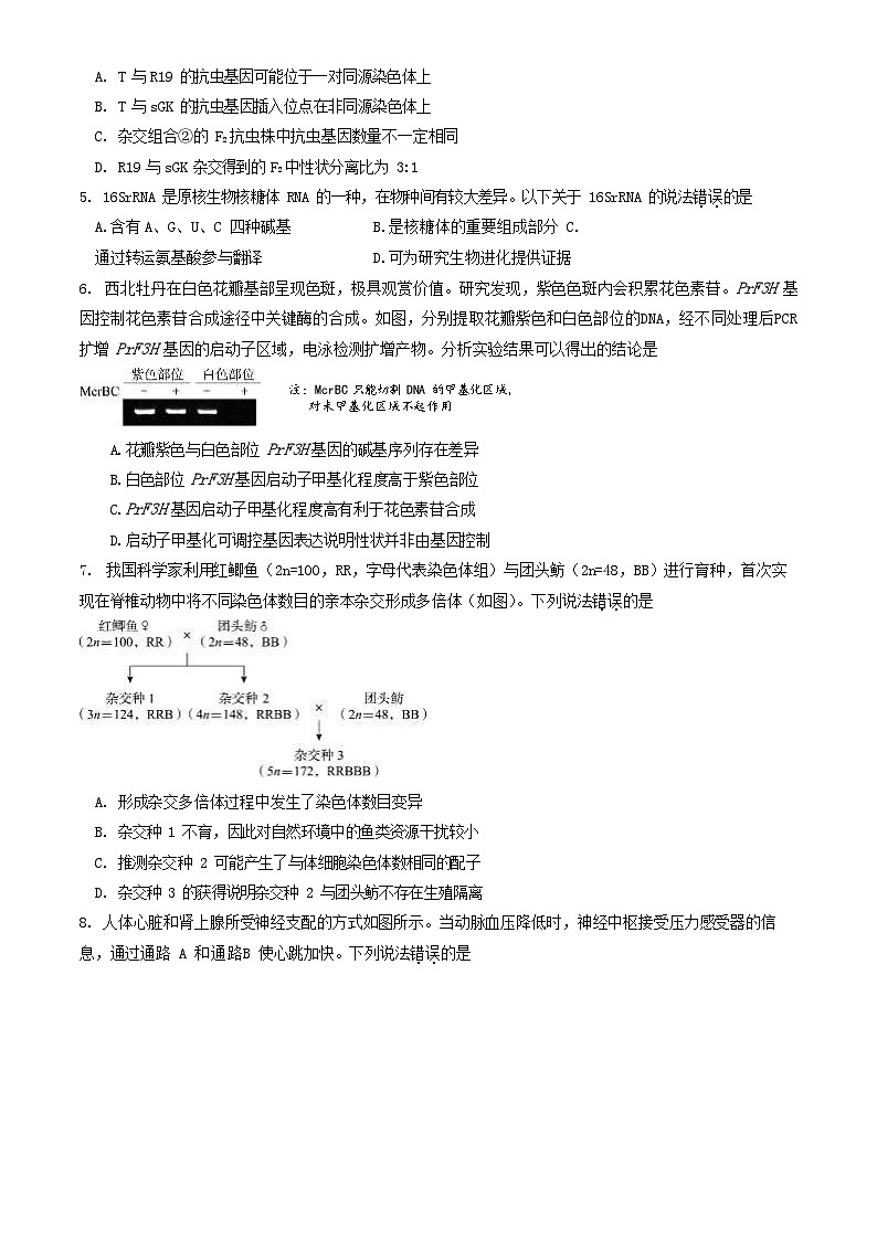 2024北京东城高三一模生物试题及答案第2页