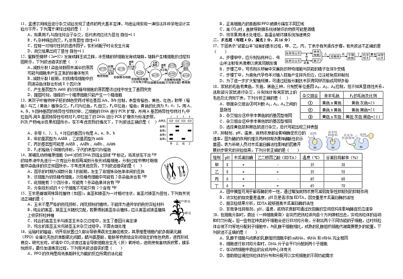 江西省宜春市宜丰县宜丰中学2023-2024学年高三下学期3月月考生物试题02