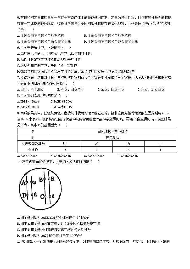 天津市北辰区第四十七中学2023-2024学年高一下学期3月月考生物试题(无答案)02