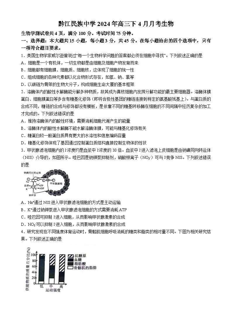 重庆市黔江区黔江民族中学校2023-2024学年高三下学期4月月考生物试题01
