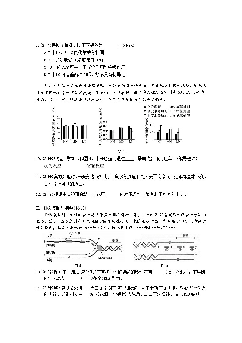 2024年上海市松江区高三高考&等级考二模生物试卷03