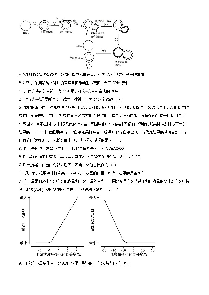 精品解析：山东省实验中学2024届高三下学期第一次模拟考试生物试题（原卷版）第3页