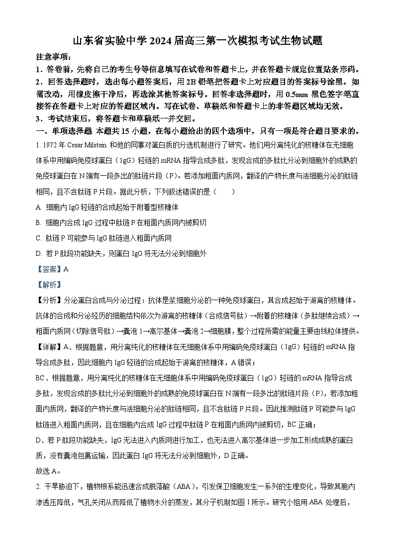 精品解析：山东省实验中学2024届高三下学期第一次模拟考试生物试题（解析版）第1页