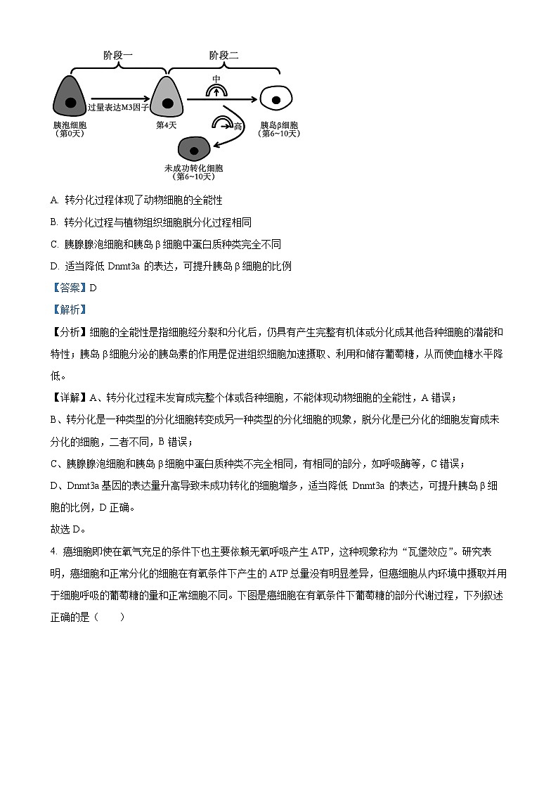 精品解析：山东省实验中学2024届高三下学期第一次模拟考试生物试题（解析版）第3页