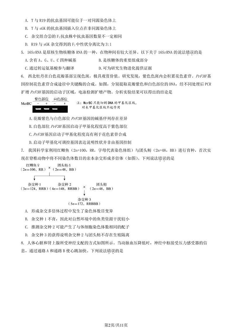 2024北京东城高三一模生物试题及答案02