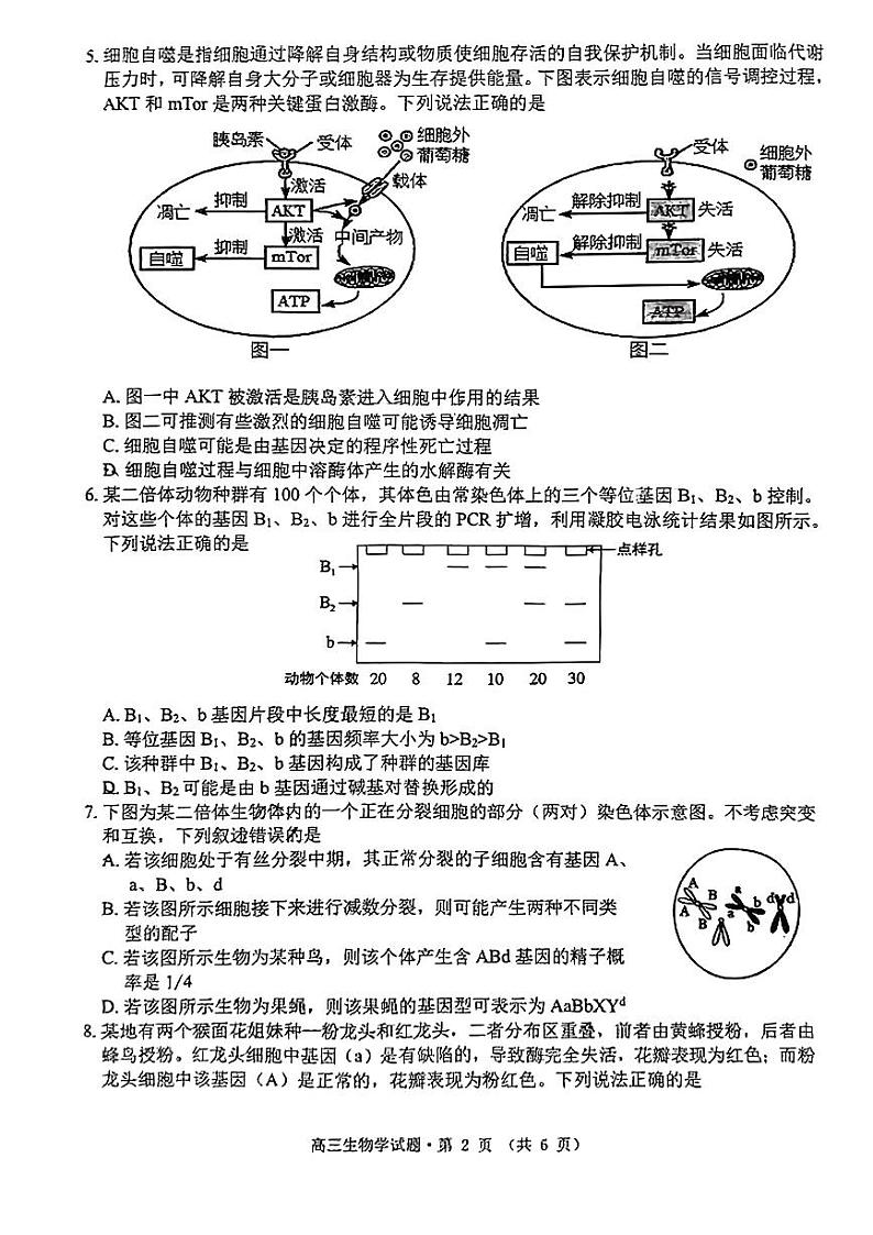 安徽省黄山市2024届高三下学期第二次质量检测试题（二模） 生物试题02