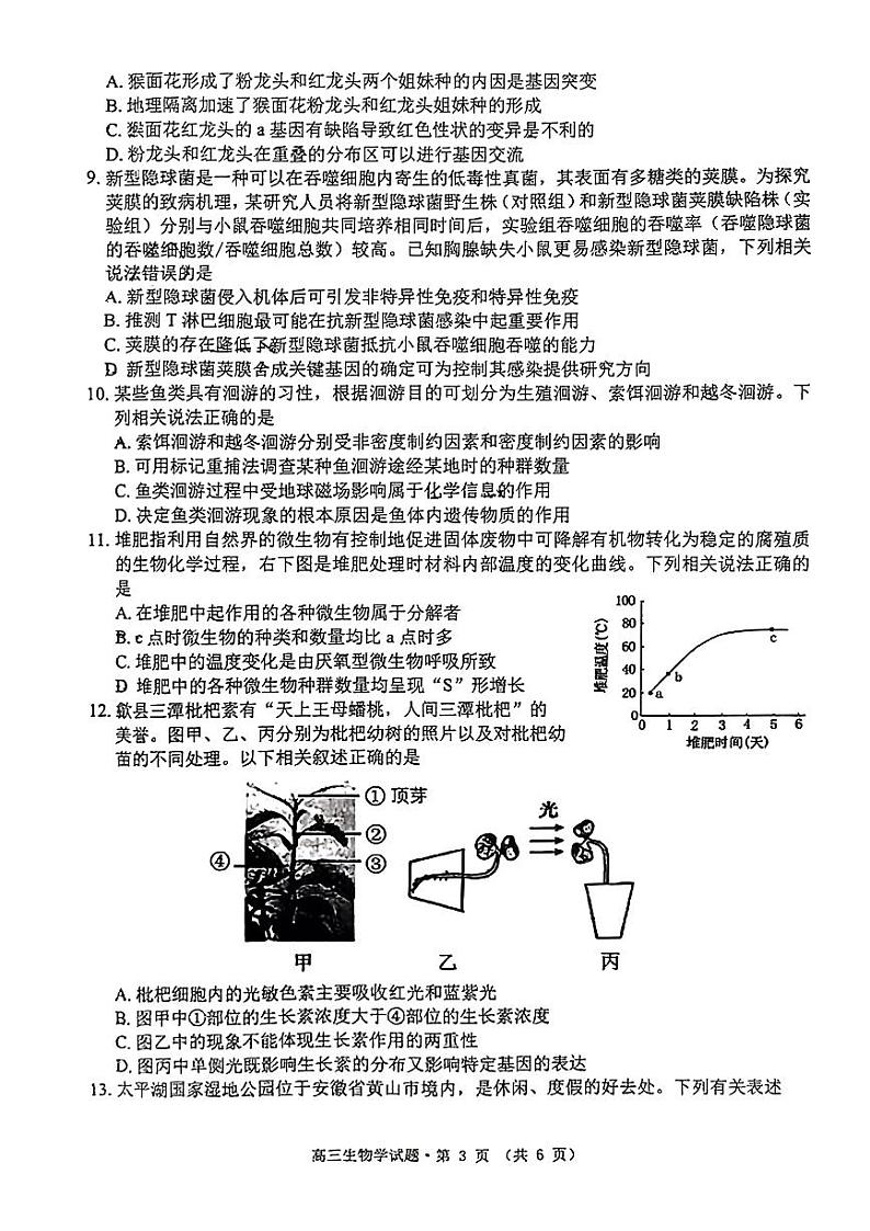 安徽省黄山市2024届高三下学期第二次质量检测试题（二模） 生物试题03