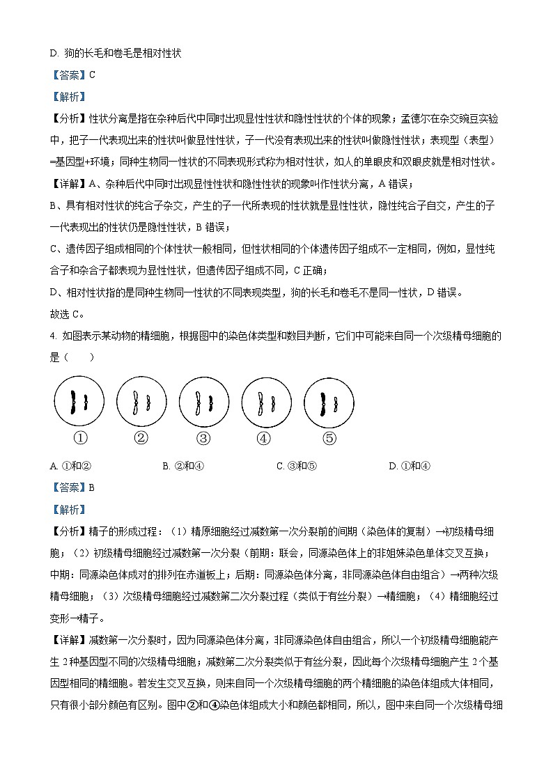 福建晋江市养正中学2023-2024学年高一下学期3月月考生物试题（原卷版+解析版）02
