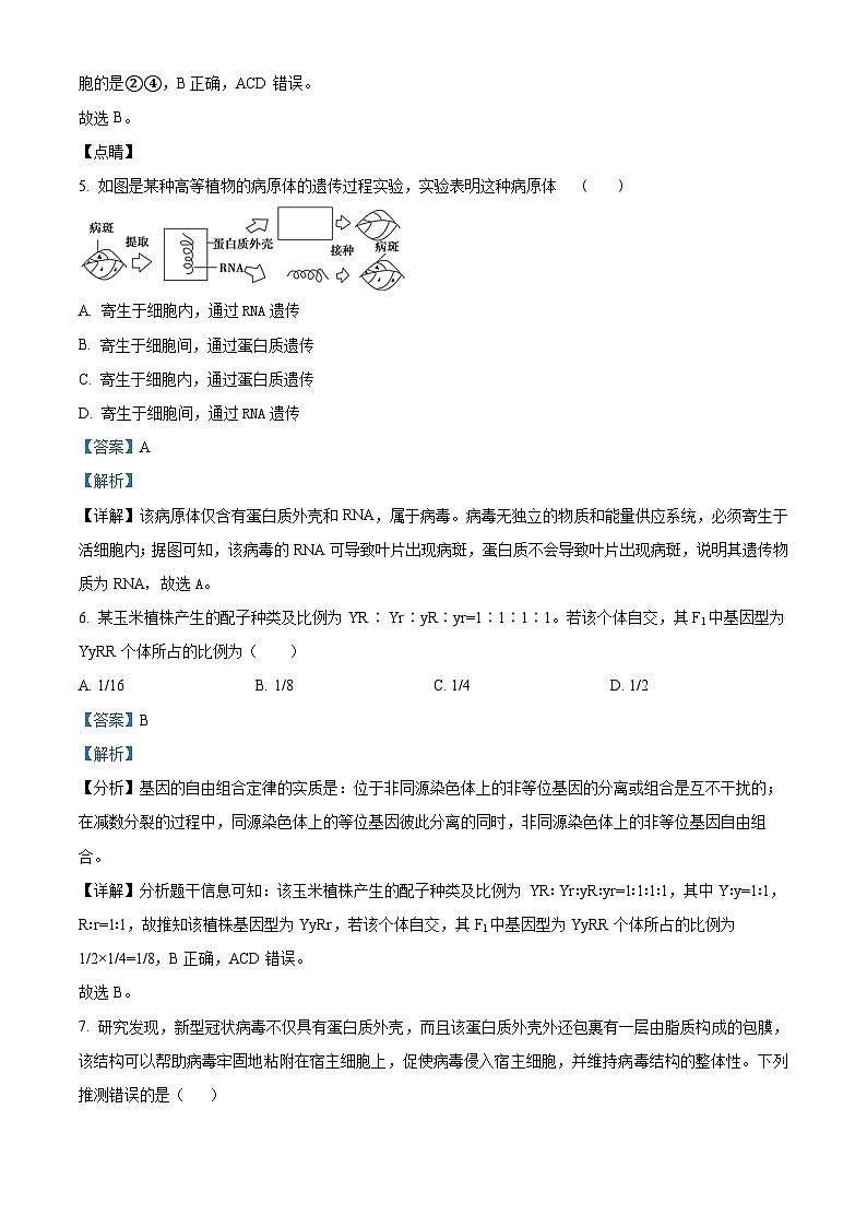 福建晋江市养正中学2023-2024学年高一下学期3月月考生物试题（原卷版+解析版）03