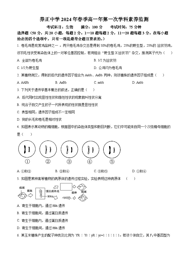 福建晋江市养正中学2023-2024学年高一下学期3月月考生物试题（原卷版+解析版）01