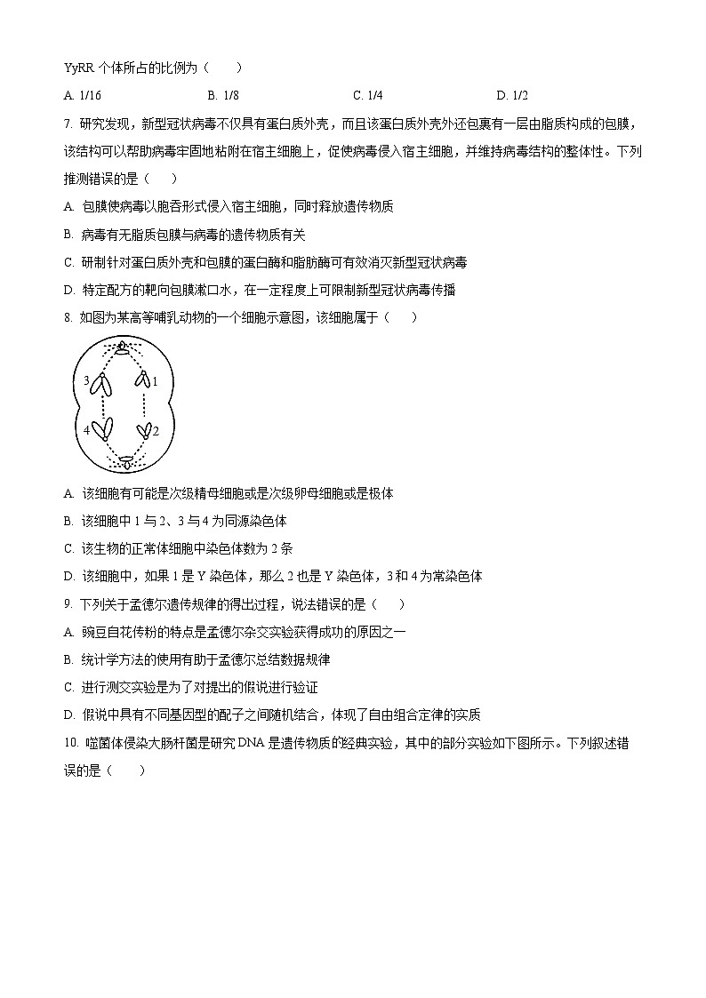 福建晋江市养正中学2023-2024学年高一下学期3月月考生物试题（原卷版+解析版）02