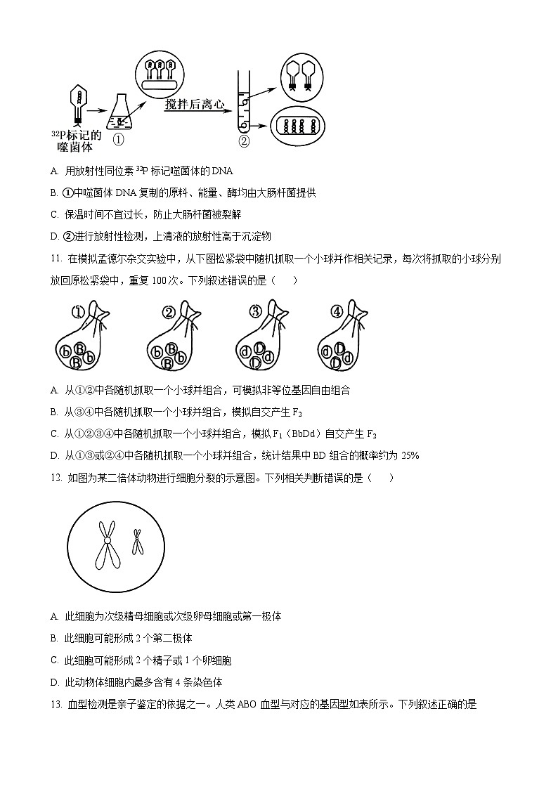 福建晋江市养正中学2023-2024学年高一下学期3月月考生物试题（原卷版+解析版）03