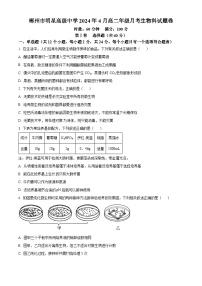 湖南省郴州市北湖区郴州市明星学校2023-2024学年高二下学期4月月考生物试题（原卷版+解析版）