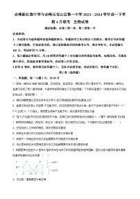 内蒙古赤峰元宝山区第一中学、新红旗中学联考2023-2024学年高一下学期4月月考生物试题（原卷版+解析版）