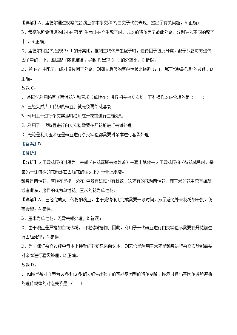 内蒙古赤峰元宝山区第一中学、新红旗中学联考2023-2024学年高一下学期4月月考生物试题（原卷版+解析版）02