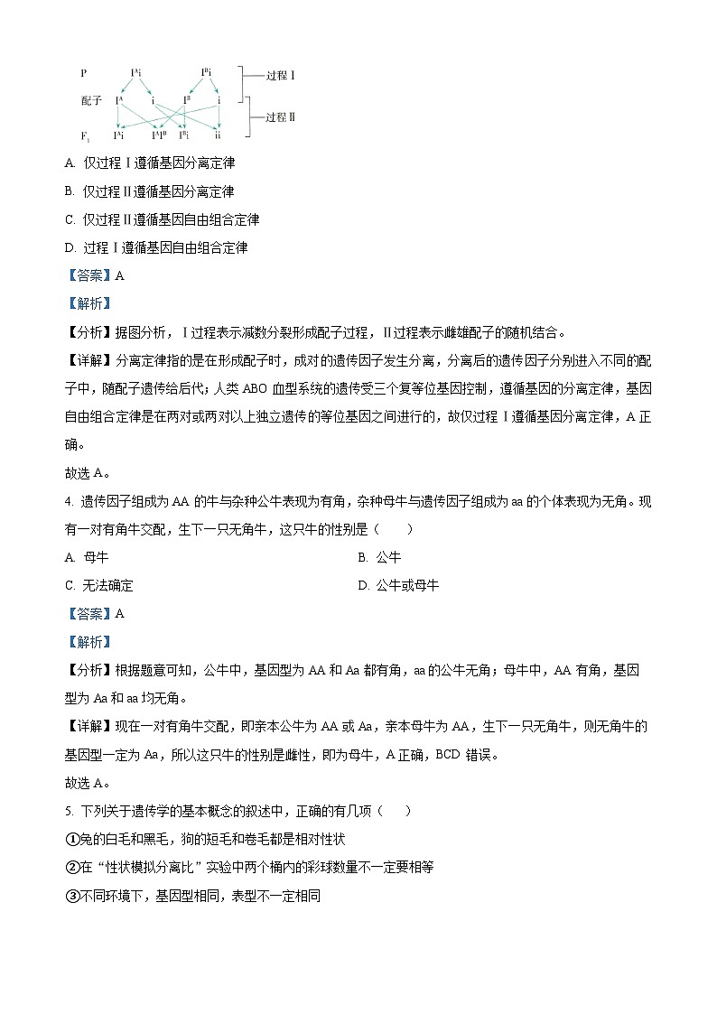 内蒙古赤峰元宝山区第一中学、新红旗中学联考2023-2024学年高一下学期4月月考生物试题（原卷版+解析版）03