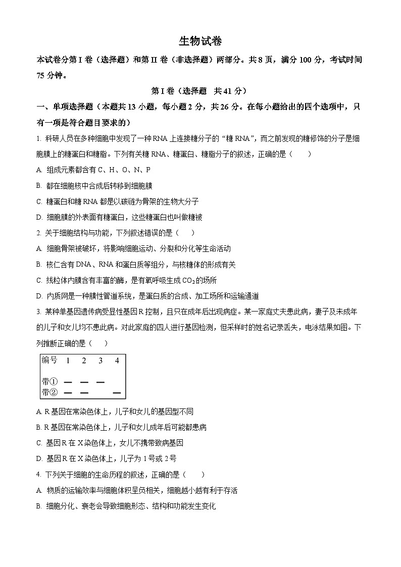 2024衡水部分高中高三下学期一模试题生物含解析01