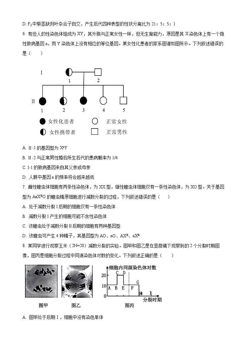 内蒙古自治区包头市昆都仑区包头市蒙古族中学2023-2024学年高一下学期4月月考生物试题（原卷版+解析版）02