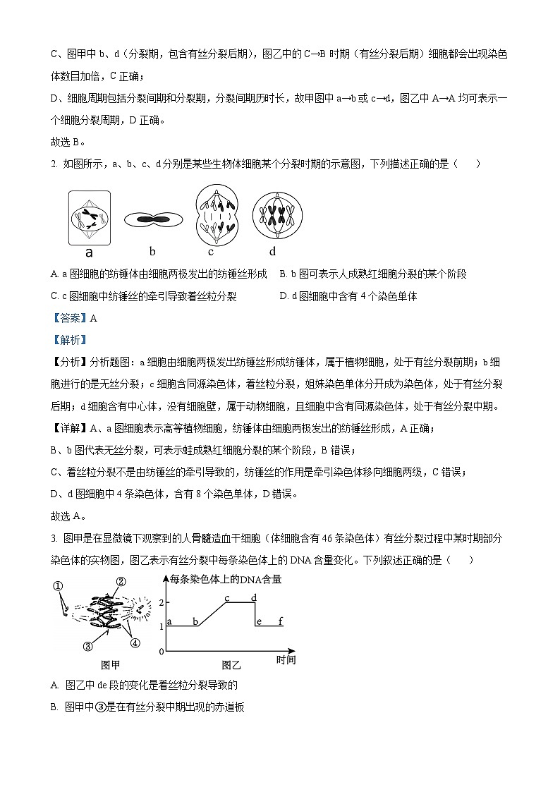 四川省遂宁市射洪市四川省射洪中学校2023-2024学年高一下学期4月月考生物试题（原卷版+解析版）02