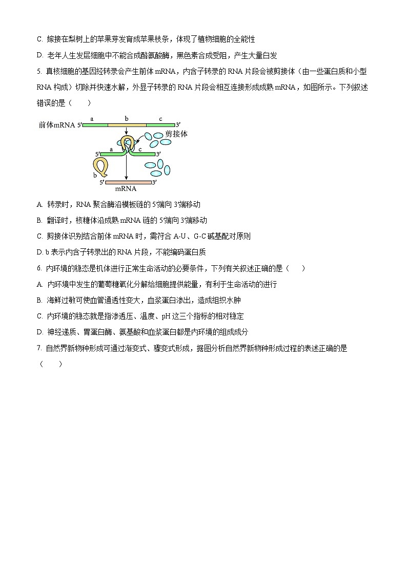 河北省衡水市部分高中2024届高三下学期一模试题 生物 Word版含解析02