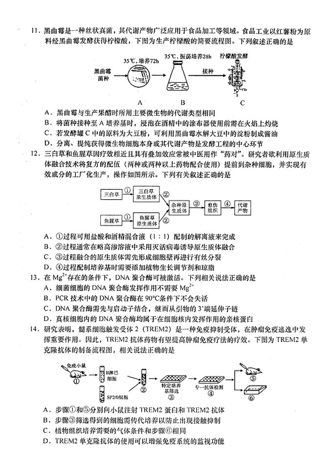 2024届江苏省南通市如皋市高三下学期二模生物试题03
