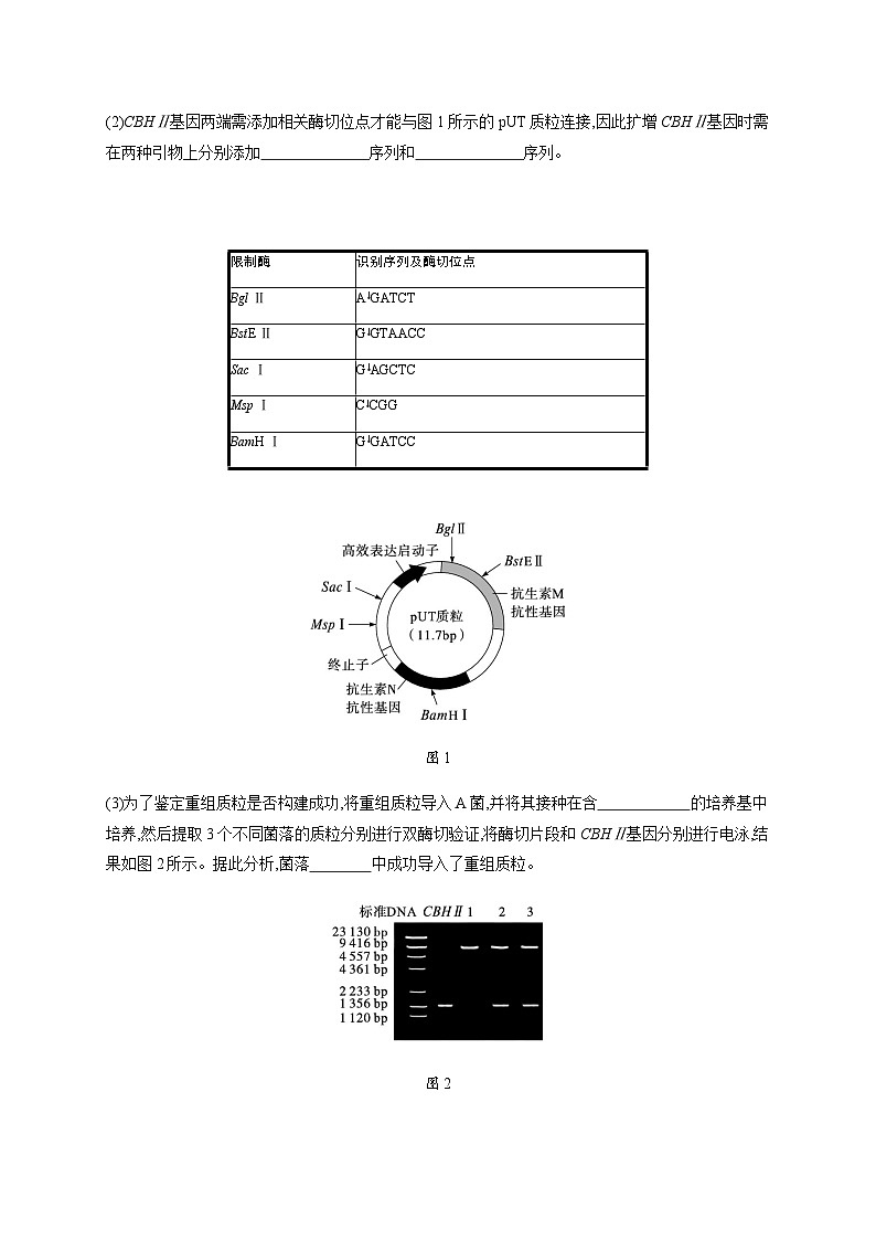 新教材高考生物二轮复习大题分析与表达练7基因工程类大题突破含答案03