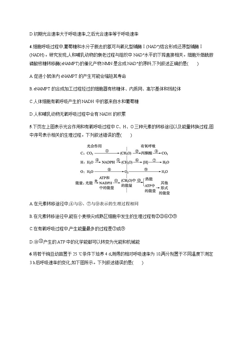 新教材高考生物二轮复习专题突破练4光合作用与细胞呼吸含答案第2页