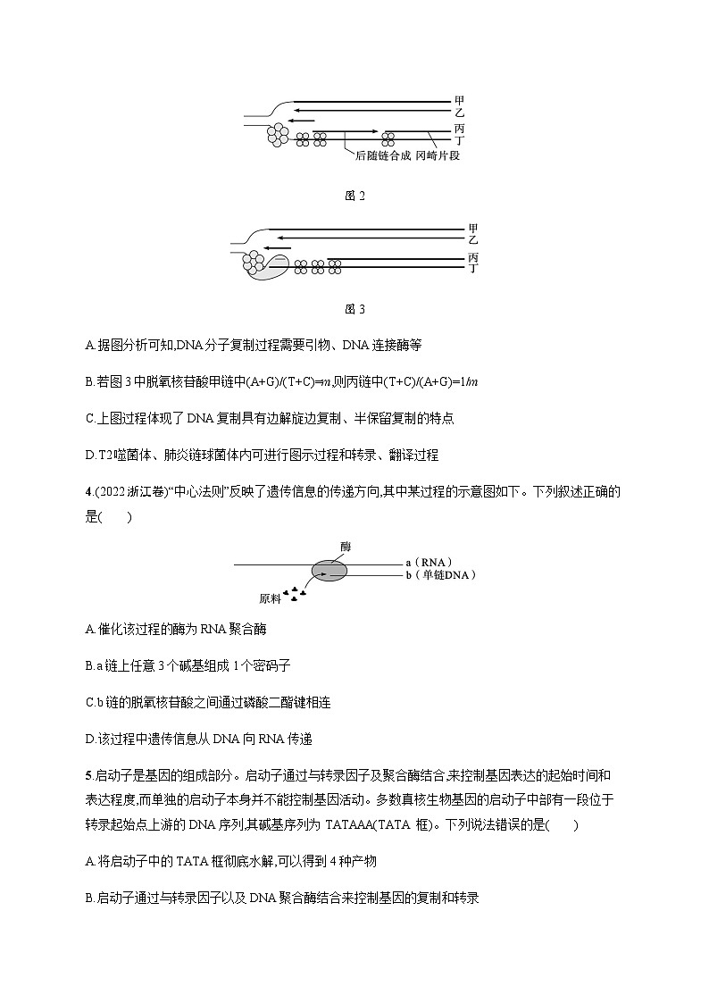 新教材高考生物二轮复习专题突破练7遗传的分子基础含答案第2页