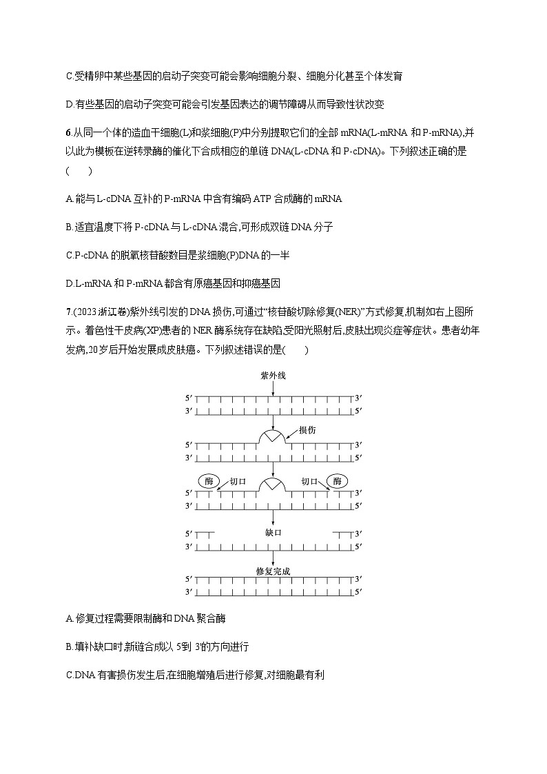 新教材高考生物二轮复习专题突破练7遗传的分子基础含答案第3页