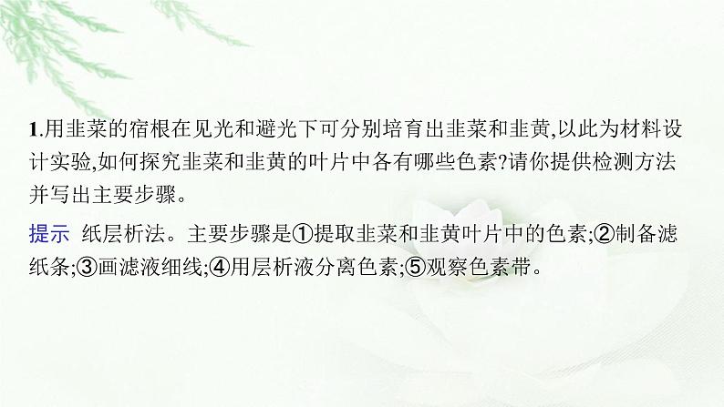 新教材高考生物二轮复习专题二细胞代谢第二讲光合作用与细胞呼吸课件第5页