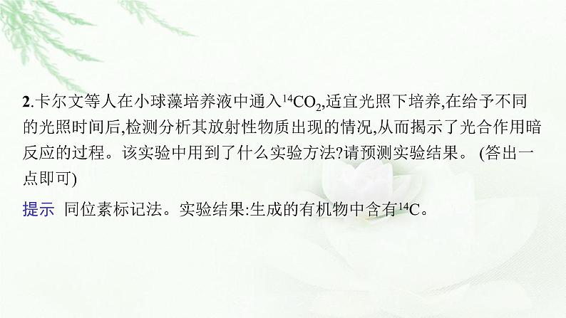 新教材高考生物二轮复习专题二细胞代谢第二讲光合作用与细胞呼吸课件第6页