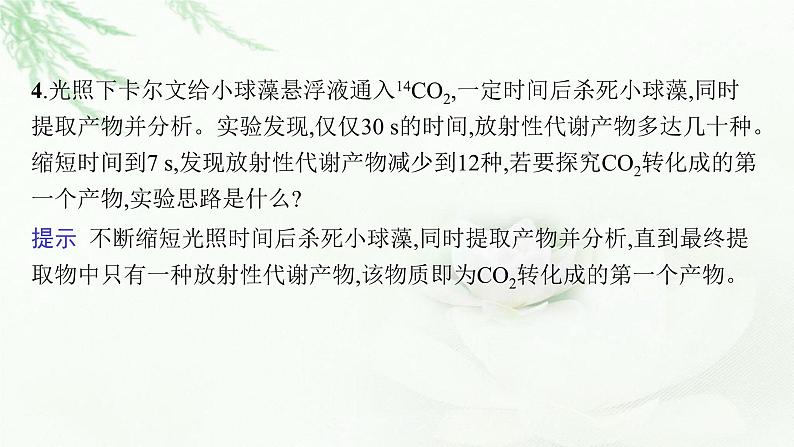 新教材高考生物二轮复习专题二细胞代谢第二讲光合作用与细胞呼吸课件第8页