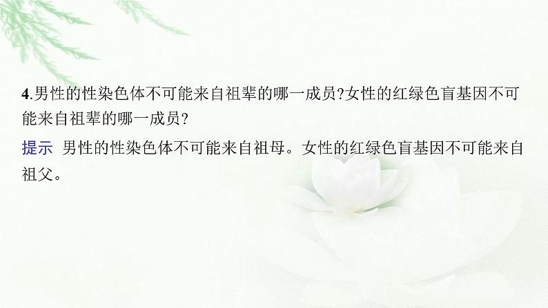 新教材高考生物二轮复习专题四遗传规律与伴性遗传(含人类遗传病)课件08