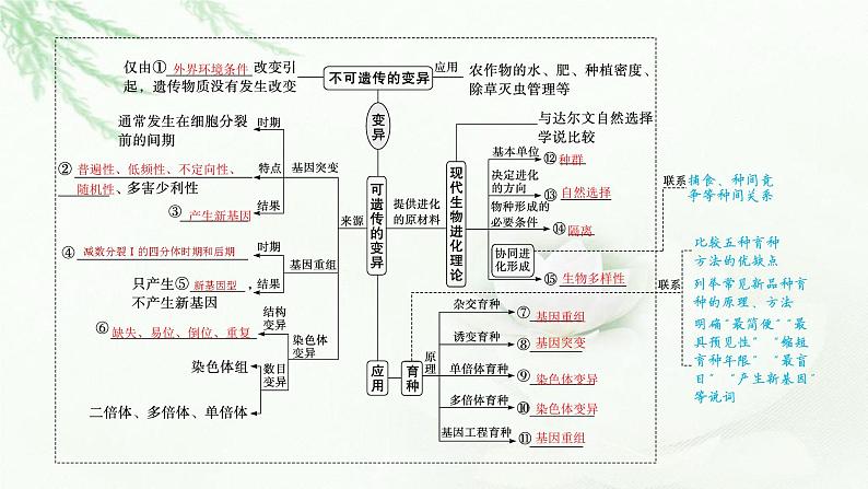 新教材高考生物二轮复习专题六生物变异、育种与进化课件第3页