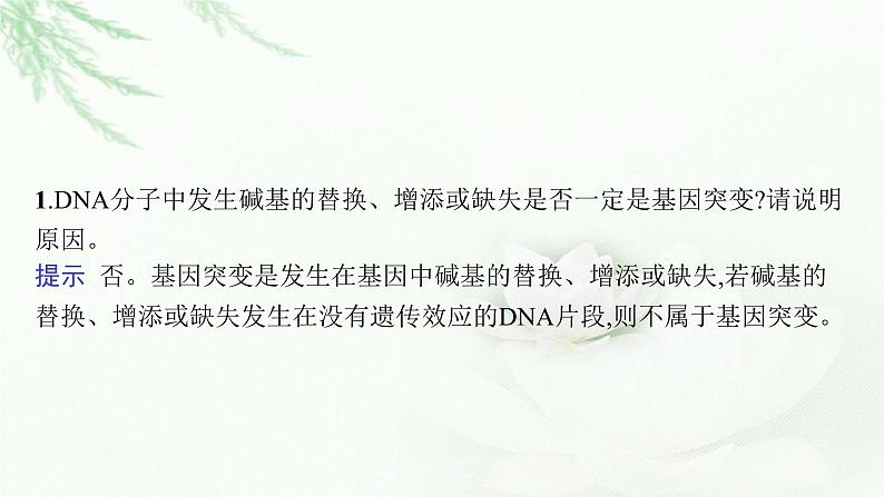 新教材高考生物二轮复习专题六生物变异、育种与进化课件第5页