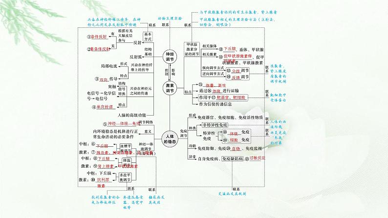 新教材高考生物二轮复习专题七个体稳态与调节第一讲动物和人体生命活动的调节课件第3页