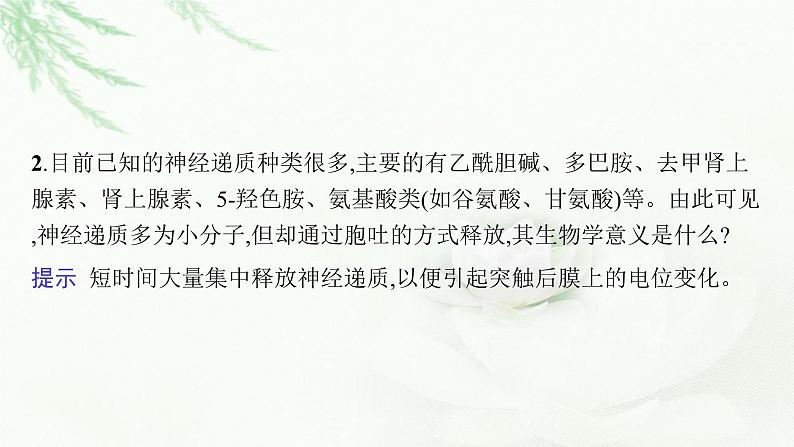 新教材高考生物二轮复习专题七个体稳态与调节第一讲动物和人体生命活动的调节课件第6页