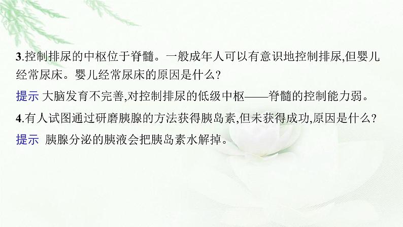 新教材高考生物二轮复习专题七个体稳态与调节第一讲动物和人体生命活动的调节课件第7页